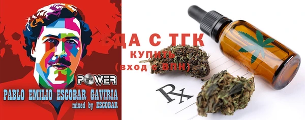 дживик Абинск