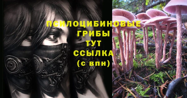 дживик Абинск